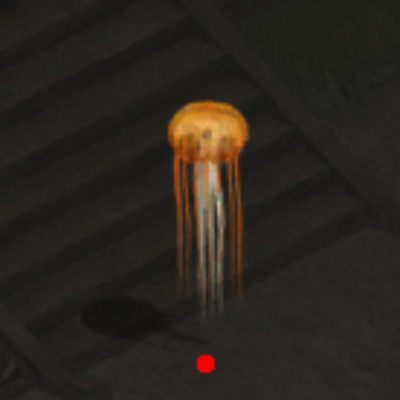 ħ��̽�ճ���